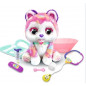 RAINBOW MON CHIOT BOBO