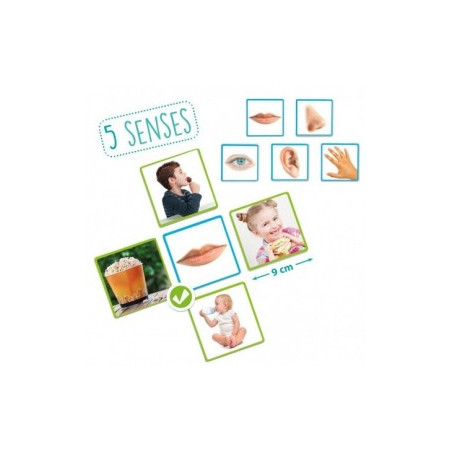 LES 5 SENS - AKROS