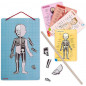 Bodymagnet - Jeu Éducatif Corps Humain - , J05491 -  Janod