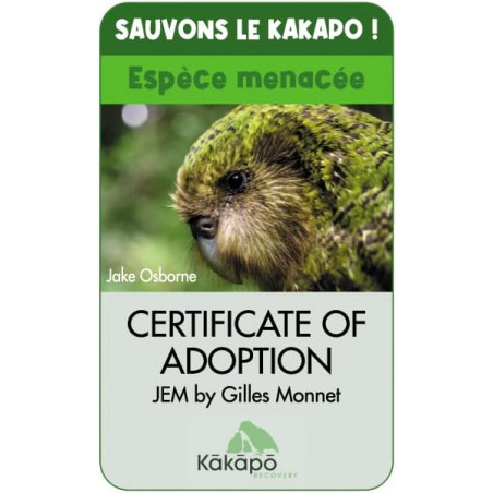 Kakapo - Nouveau Jeu de Cartes du trouduc ou Jeu du président Famille Adultes Humour - Spot Games - Spot Games