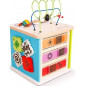 Hape Baby Einstein Kids II Innovation Station Activity Cube
