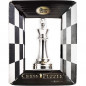 Chess Silver King - Cast Puzzle