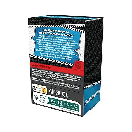 POKEMON E.V. 10.5 : BUNDLE - 6 BOOSTERS FLAMME BLANCHE