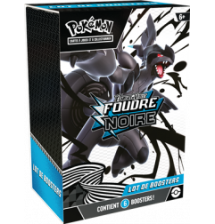 POKEMON E.V. 10.5 : BUNDLE - 6 BOOSTERS FLAMME BLANCHE