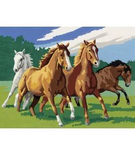 Chevaux Sauvages - Ravensburger - 28382