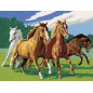 Chevaux Sauvages - Ravensburger - 28382