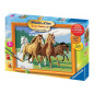 Chevaux Sauvages - Ravensburger - 28382