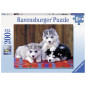 Puzzle - Mignons Huskies - 200 pièces - Ravensburger - 12823 Puzzle - Mignons Huskies - 200 pièces - Ravensburger - 12823