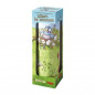 Kikou le coucou - Location (LLD)