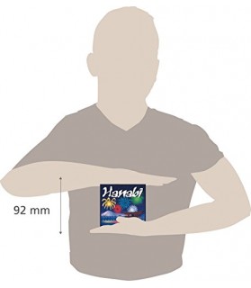 Hanabi - Asmodee - CGHAN01