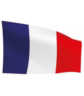 Drapeau France 60x90cm