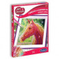Canevas a diamanter cheval