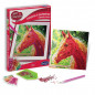 Canevas a diamanter cheval