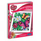 Canevas a diamanter papillons