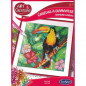 Canevas a diamanter toucan