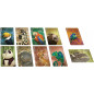 SIMILO Animaux Sauvages SIMILO Animaux Sauvages
