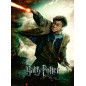 Puzzle 100 pièces XXL-Le Monde Fantastique d’Harry Potter Enfant - Ravensburger