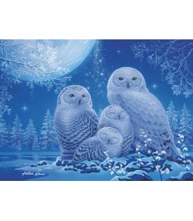 Chouettes au Clair de Lune - Puzzle 500p - 16595 - Ravensburger