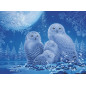 Chouettes au Clair de Lune - Puzzle 500p - 16595 - Ravensburger