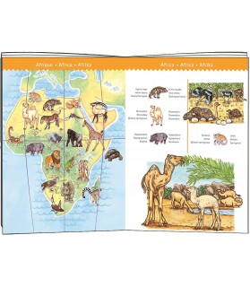 Puzzle Observations - Animaux - 100 Pièces - Djeco - 24602