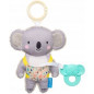 Kimmy le koala