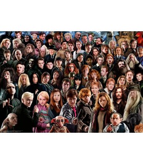 Challenge Harry Potter - Ravensburger - Puzzle Adulte - Puzzle 1000 p -