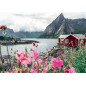 Reine, Lofoten, Norvège -  Ravensburger - Puzzle Adulte - Puzzle 1000 p