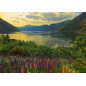 Fjord en Norvège -  Ravensburger - Puzzle Adulte - Puzzle 1000 p