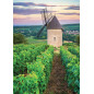 Moulin Sorine du vignoble de Santenay - Nathan - Puzzle Adulte - Puzzle N 1000 p Moulin Sorine du vignoble de Santenay - Nathan - Puzzle Adulte - Puzzle N 1000 p