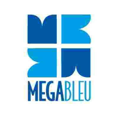 Subbuteo FFF Board Game Megableu : King Jouet, Jeux de stratégie Megableu -  Jeux de société